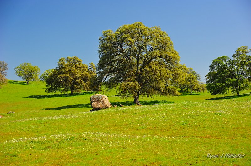 RJH_0958.JPG