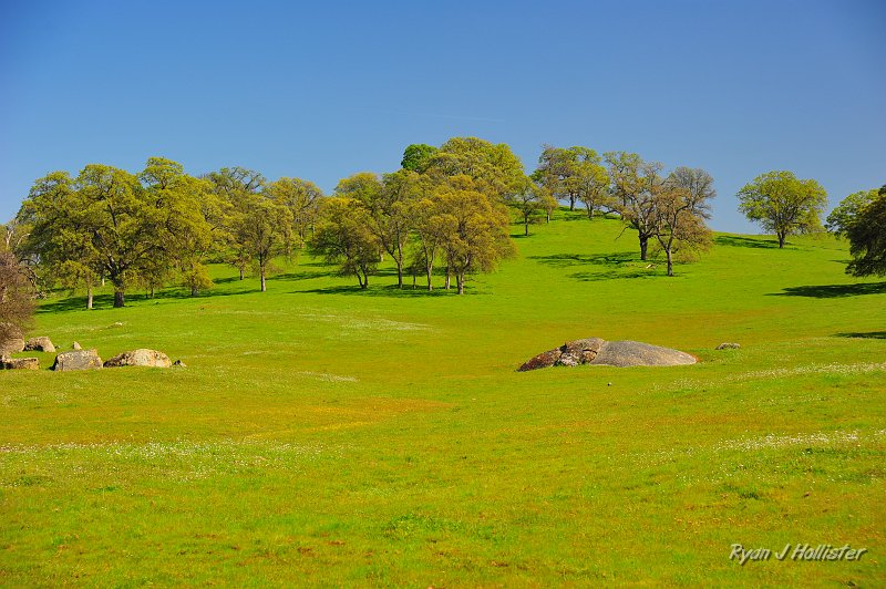 RJH_0960.JPG