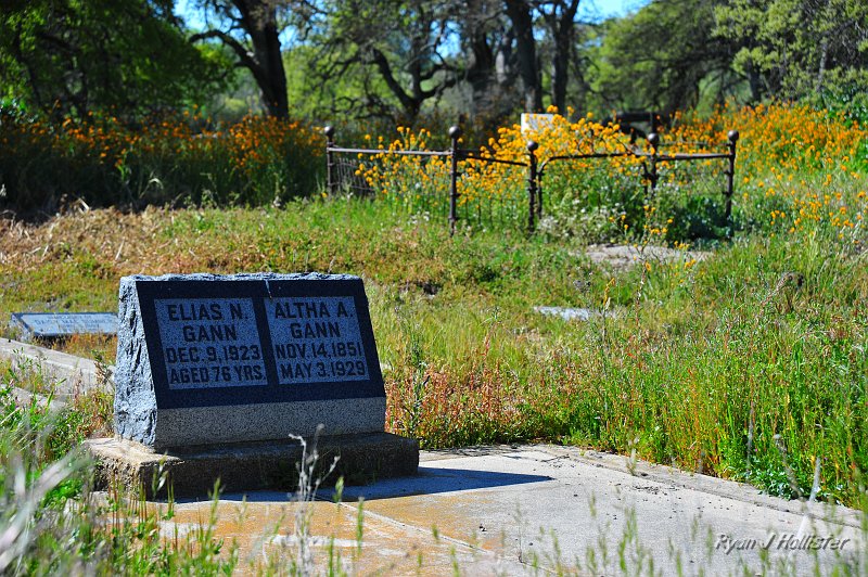 RJH_0965.JPG