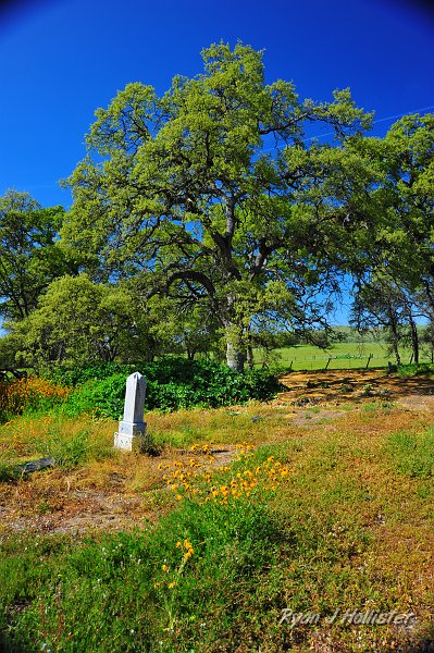 RJH_0972.JPG