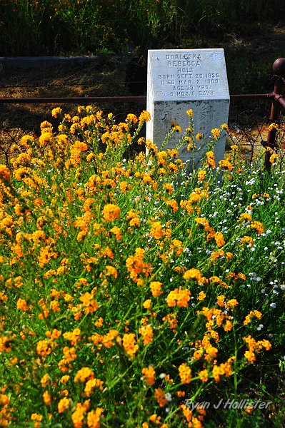 RJH_0973.JPG