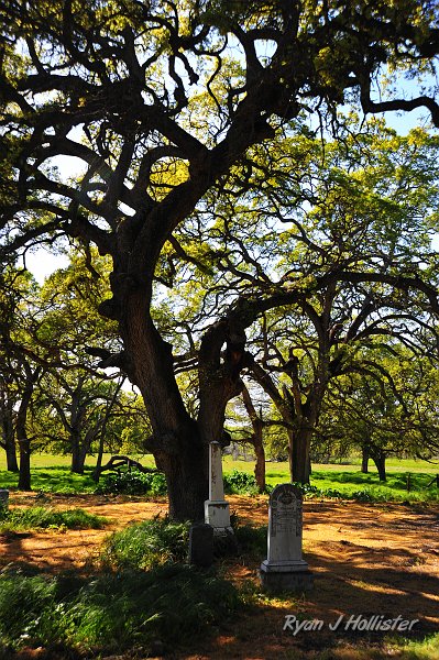 RJH_0984.JPG
