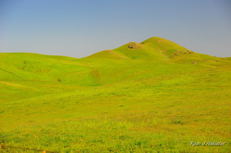 RJH_1002.JPG