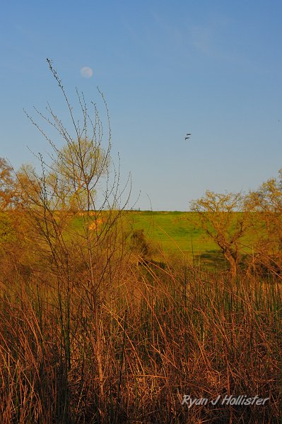 RJH_1010.JPG