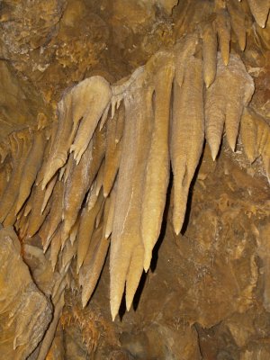 _5202092.JPG
