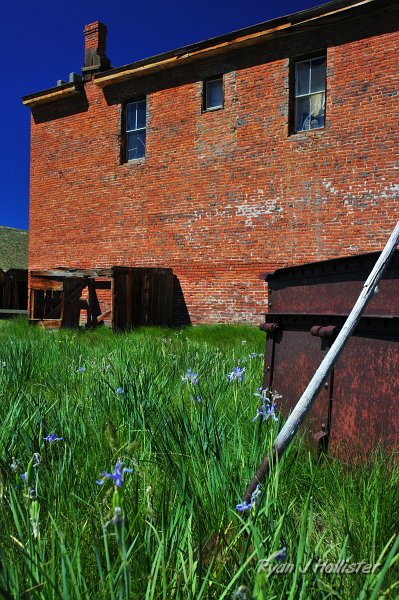 RJH_4295.JPG - Iris and a shovel.