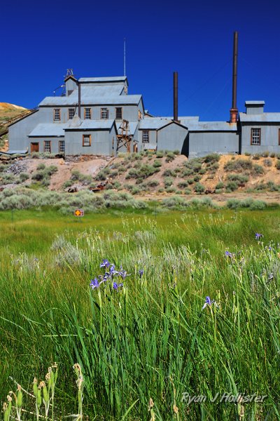 RJH_4323.JPG - Standard Mine - produced $15 million in its heyday.
