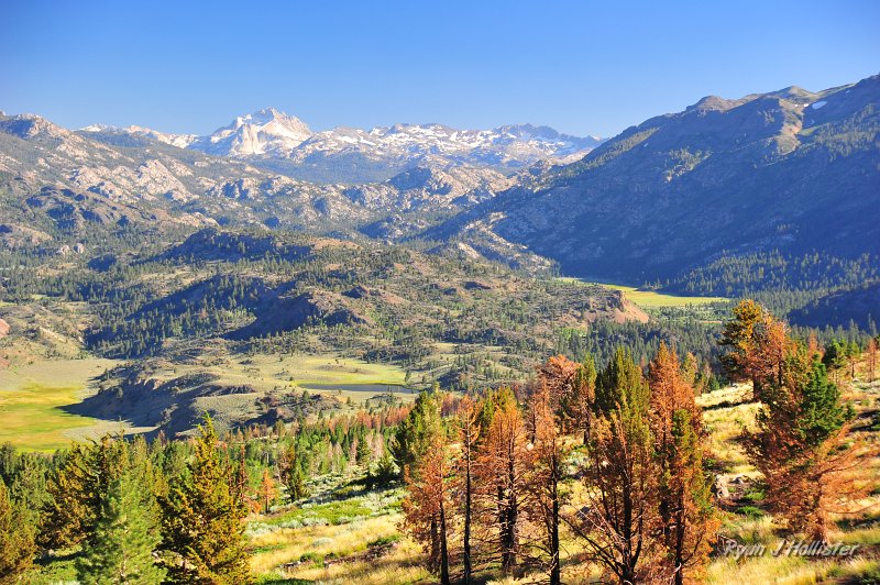 RJH_4350.JPG - The Sawtooth near Twin Lakes are visible in the background as well as Pickle Meadow on the left and Leavitt Meadow on the right.