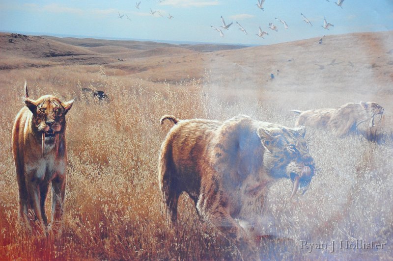 RJH_7402.JPG - Artist's rendering of the area near Farimead 750,000 years ago.