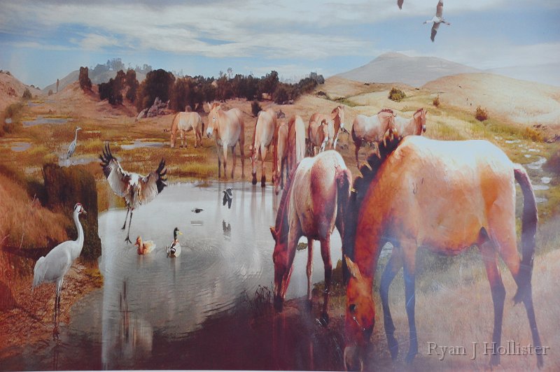 RJH_7403.JPG - Artist's rendering of the area near Farimead 750,000 years ago.
