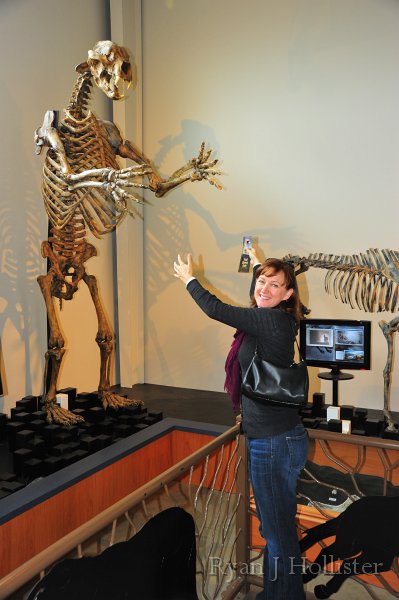 RJH_7409.JPG - Mrs. H longs for a bear hug.  Information at the museum stated that kinectic modeling has shown the short-faced bear capable of attaining speeds of 40mph!