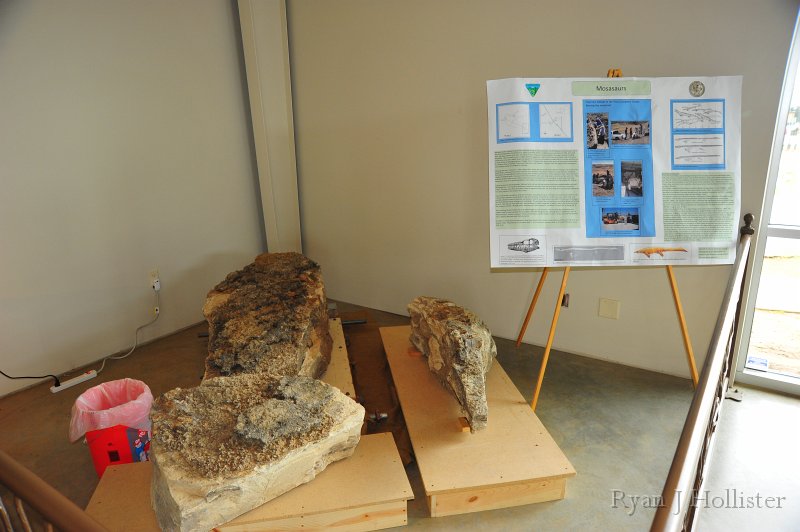 RJH_7421.JPG - A Mosasaur discovered in Coalinga... these guys lived over 100 million years ago, swimming in the oceans while dinos rule the land. Needless to say, Coalinga was under the ocean 100 million years ago.