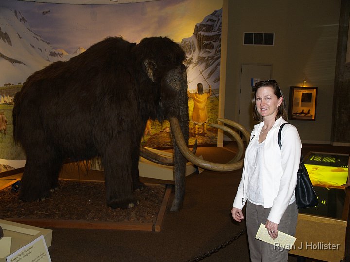 _C075801.JPG - Half-scale mammoth.