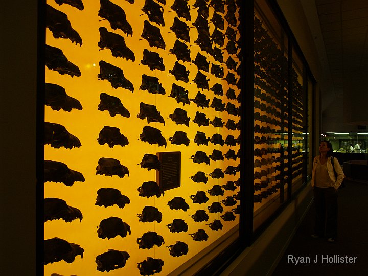 _C075822.JPG - 400 are on display.
