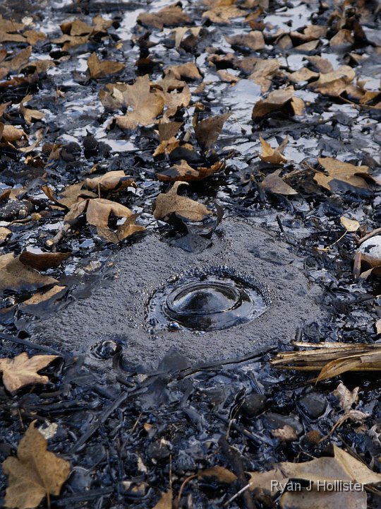 _C075857.JPG - I like this shot of the popping bubble.