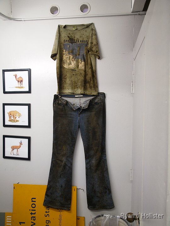 _C075863.JPG - This is what you're clothes will look like after a few hours unearthing bones in La Brea.
