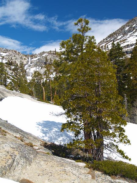 _4051575.JPG - Horsetail Falls and a lone tree.