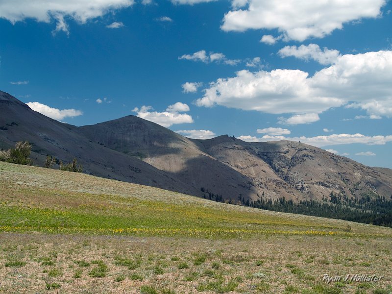 20090810_high_emigrant_lake_0189.jpg - The saddle also provided us our first glimpse of wildflowers.