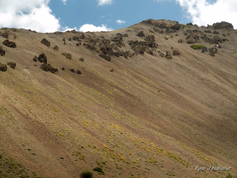 20090810_high_emigrant_lake_0190.jpg - I enjoyed the more resistant volcanic rocks sticking out of the eroded scree.