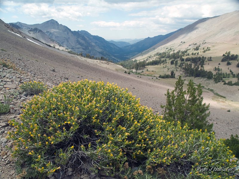 20090810_high_emigrant_lake_0195.jpg - A view to the NW down Kennedy Canyon.