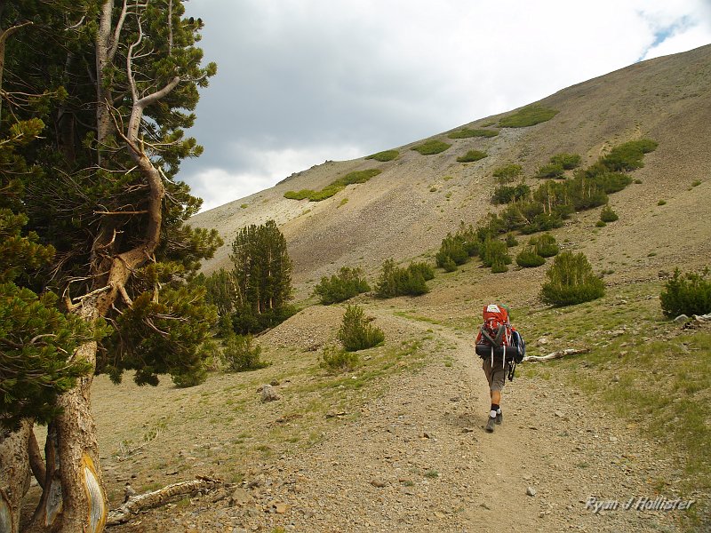 20090810_high_emigrant_lake_0209.JPG - The climb finally begins in earnest.