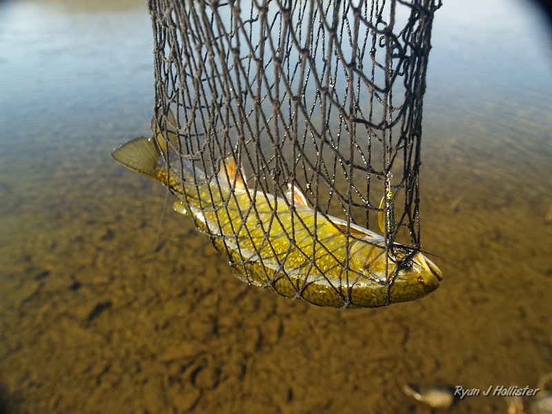 20090810_high_emigrant_lake_0264.JPG - Steve landed the first fat brookie of the day.
