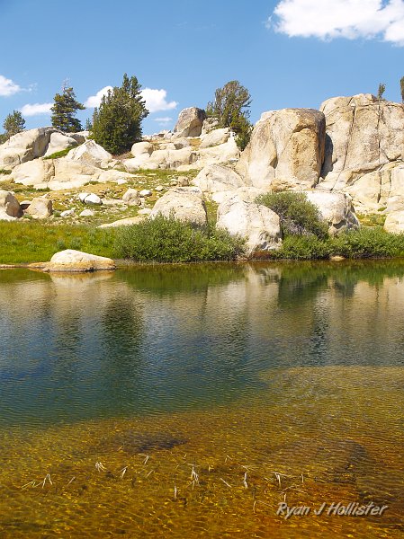 20090811_high_emigrant_lake_0104.JPG - This area was LOADED with large fish.
