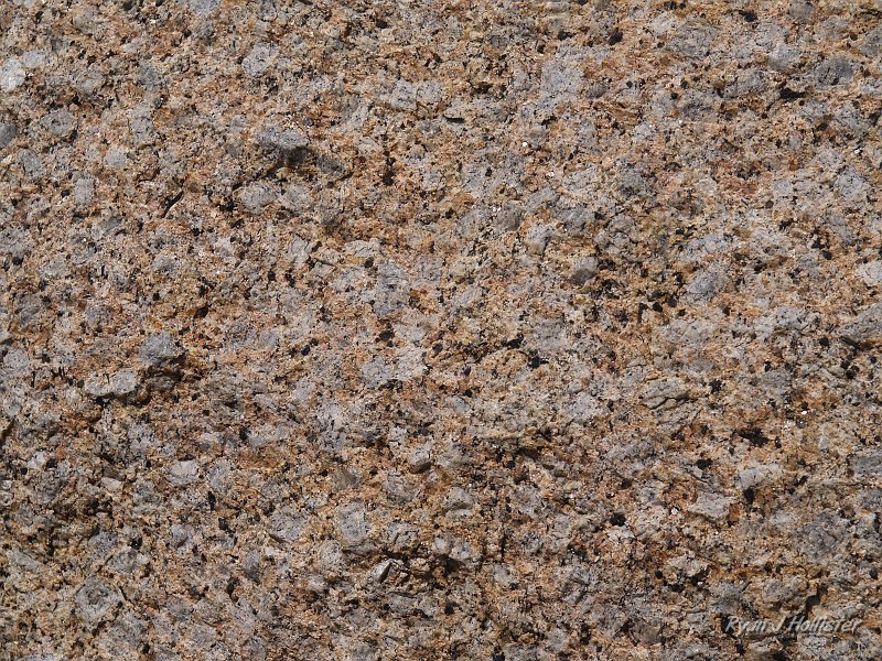 20090811_high_emigrant_lake_0108.JPG - Close-up of the Topaz Lake granodiorite.   I forgot to add scale.
