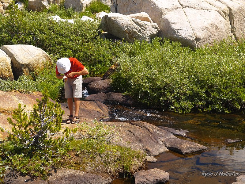 20090811_high_emigrant_lake_0116.JPG - Steve gently releases his catch.