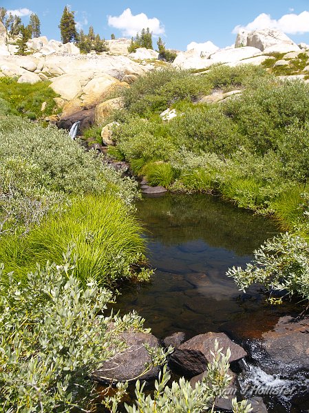 20090811_high_emigrant_lake_0123.JPG - I swear that a brookie jumped out of the water and took my lure before it hit the surface in this pool.