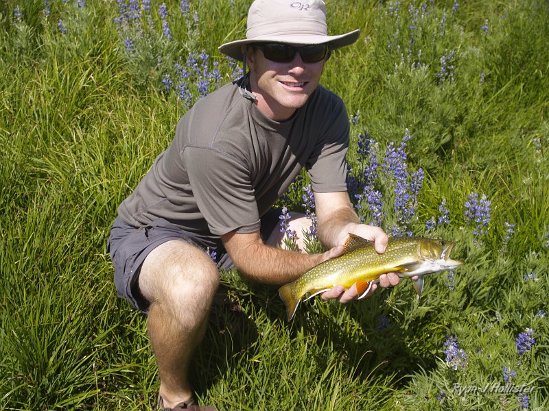 20090811_high_emigrant_lake_0133.JPG - Luckily Steve woke up in time to take a picture of the largest fish of the trip.. an 17.5", 2.5lb+ brookie.  It was huge and took me six minutes to land.