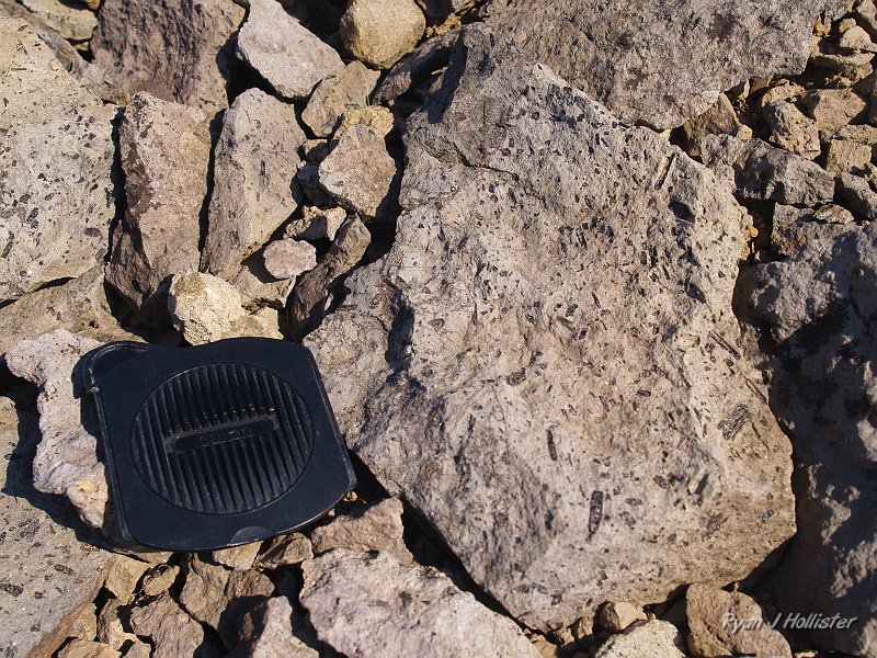 20090811_high_emigrant_lake_0145.JPG - After returning to our camp at High Emigrant Lake, I went across the creek to the volcanics inthe Relief Peak Formation.  My lens cap is 3.5" wide for scale.   Once can really see the porphyritic (large crystals) hornblende minerals.