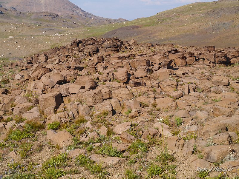 20090811_high_emigrant_lake_0158.JPG - Interesting columnar andesite.  When lava & ash flows have a chance to cool and thus contract slowly, the atoms in the lava have time to better organize themselves into efficient bonding arrangements.  This results in the hexagonal appearance seen in the column joints.