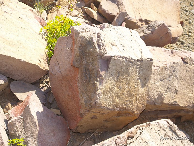 20090811_high_emigrant_lake_0164.JPG - Here's a good angle to see the hexagonal form.