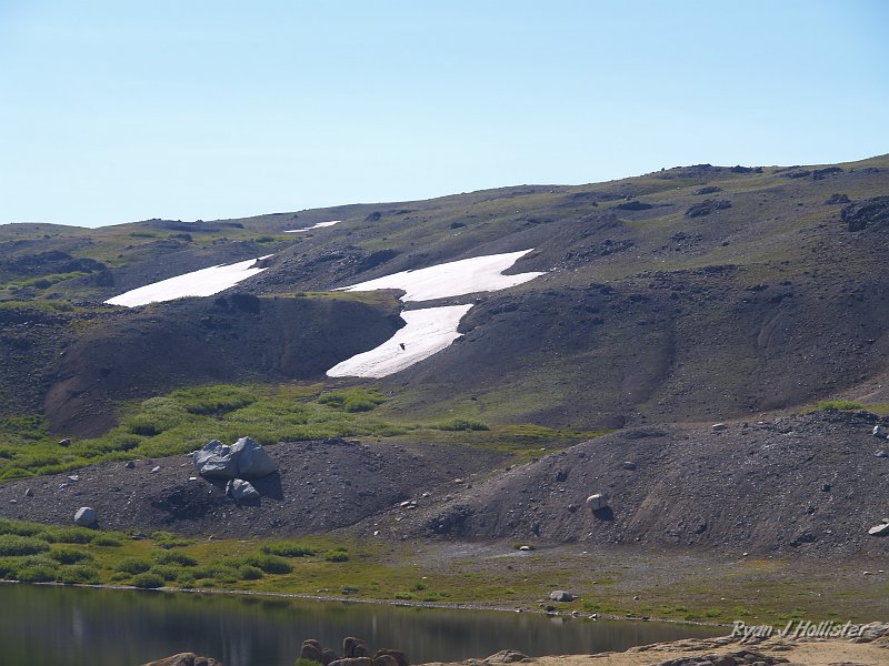 20090812_high_emigrant_lake_0030.JPG - The gray area with the erratics are where you too can find petrified wood and casts.