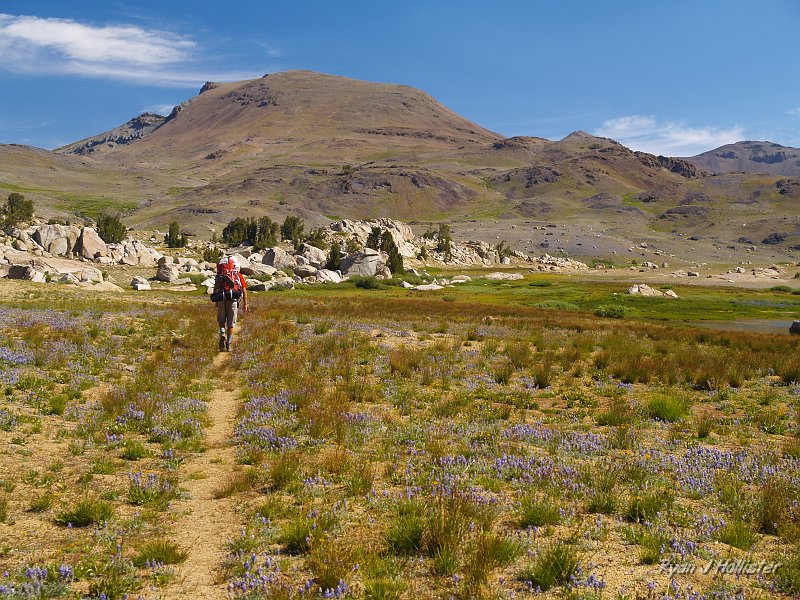 20090812_high_emigrant_lake_0033.JPG - The thought of having to climb Big Sam with massive blisters brings tears to one's eyes.
