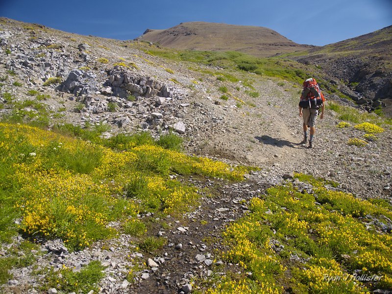 20090812_high_emigrant_lake_0037.JPG - Here's some of the trail I missed on the way in due to rain.