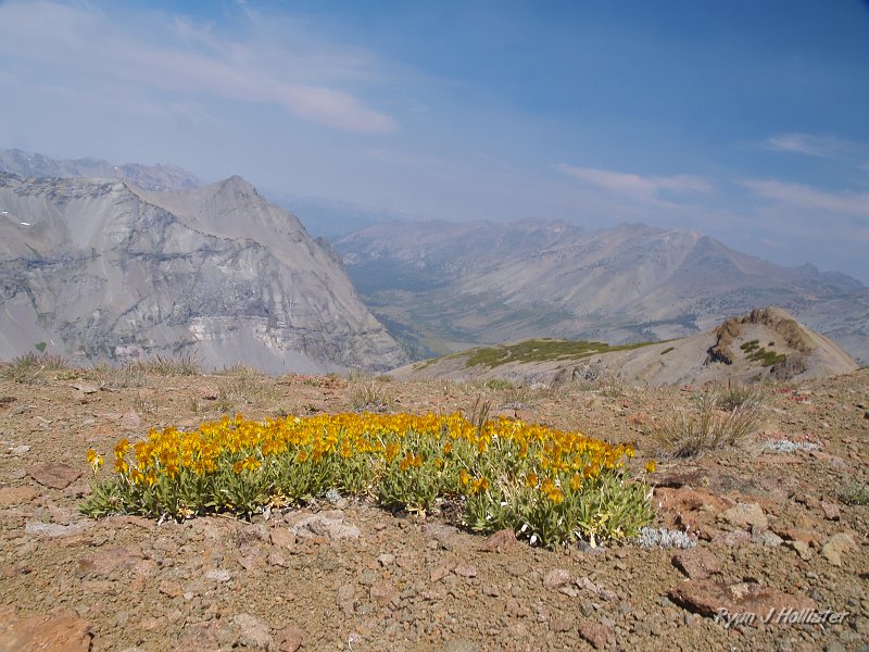 20090812_high_emigrant_lake_0046.JPG - Wooly Sunflowers look down Kennedy Canyon and down to the smoke-filled west.   After another three hours of hiking, Steve & I eneded up back at hte Leavitt Lake Trail head at 2:35 and quickly donned heeless sandals!  I hope you enjoyed the adventure as much as we did.