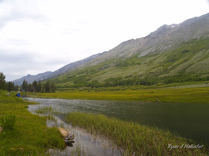 _6309997.JPG - The brown trout in Kennedy Lake can get pretty big, and they love hanging out in these shallow weeds of the outlet.