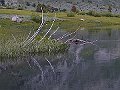 _6300019