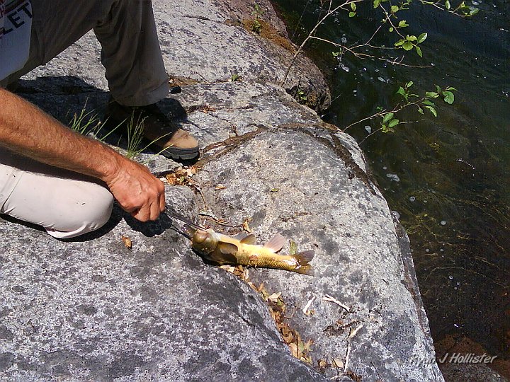DSC00172.JPG - My dad caught a sucker fish too.
