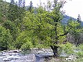 DSC00167