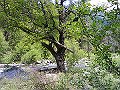 DSC00168