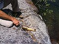 DSC00172