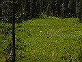 _7010061