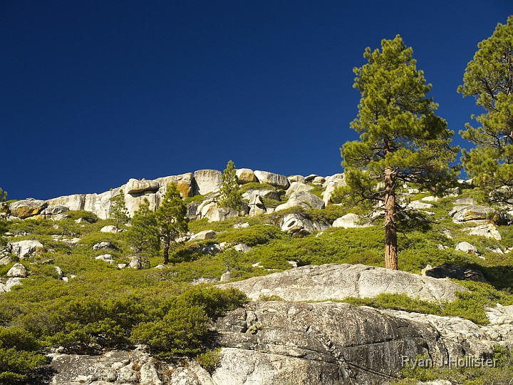 _B155644.JPG - Sometimes there's even manzanita clinging to the less steep areas as well.