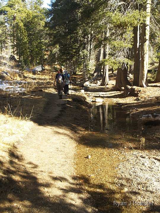 _B155646.JPG - This scene looked more like June than November with the run-off and melting snow.