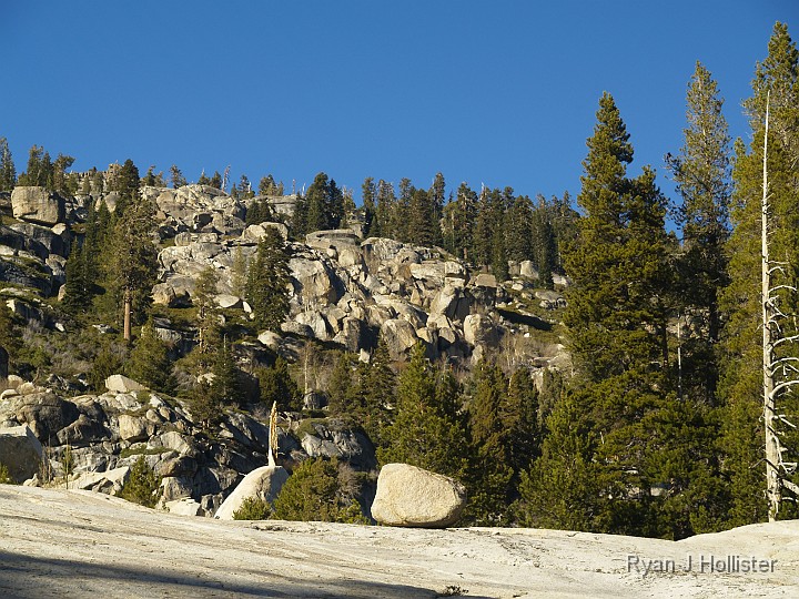 _B155666.JPG - Another lone glacial erratic.