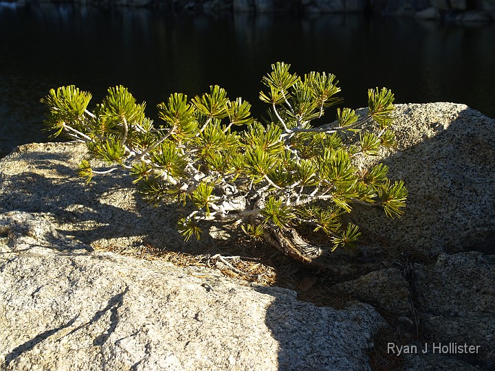 _B155674.JPG - Here's a better view of the future rock breaker.