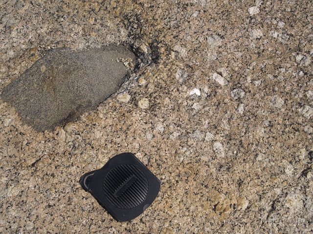 _7074094.JPG - Yeah geology.  A xenolith and large phenocrysts of feldspar.  The xenolith is highly metamorphosed rock that fell into the blob of granite when it was still plastic.  The camera lens cap is about 4" square.